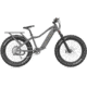 QuietKat Ranger 1000 Watt Hub-Drive Motor Bicycle, Small, Under 5ft 6in, Shimano 7-Speed, Charcoal, RAN-10-CHR-15