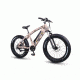 QuietKat Ranger 750W Electric Bike, w/ Rear Hub Motor, Chain Drive, 7 Speed, Suspension Fork, Mechanical Disc Brakes, Camo, One Size Fits Most, 18QKH750CCS-C