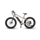 QuietKat Rover 750W Moderate Off-Road Terrain Electric Bike, Camo, Large 19in Frame, 19 Q H 0750 C S R M CAM