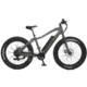 QuietKat Rover 750W Moderate Off-Road Terrain Electric Bike, Charcoal, Large 19in Frame, 19 Q H 0750 C S R M CHR