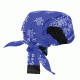 Radians Arctic Skull Head Shade Blue Paisley