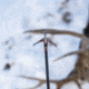Rage Hypodermic Trypan NC 100 Grain Broadhead - 3 Pack, R35700