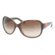 Ralph Lauren RL8067 Sunglasses 517513-6216 - Havana Brown Gradient