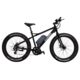 Rambo Bikes 750W Fat Bike