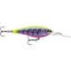 Rapala Harvest Shad 7 Jig, Purple Meat Market, HVSD07PMM