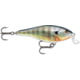 Rapala Shallow Shad Rap 05 Lure, Blue Gill, SSR05BG