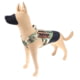 Raptor Tactical K9 Drago Dog Harness, Rhodesian, Extra Large, K9DH-RH-XL