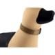 Raptor Tactical K9 ODIN Collar, Coyote Brown, K9OC-CB-45
