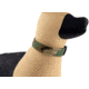 Raptor Tactical K9 Odin Collar, Woodland, K9OC-M81-45D
