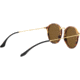 Ray-Ban RB2447 Sunglasses 1160-49 - Spotted Brown Havana Frame, Brown Lenses