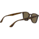 Ray-Ban RB4258 Sunglasses 710/73-50 - Shiny Havana Frame, Brown Lenses