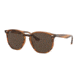 Ray-Ban RB4306F Progressive Prescription Sunglasses, 54mm, Striped Red Havana, RB4306F-820-73-54-PRO