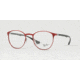 Ray-Ban RX6355 Single Vision Prescription Eyeglasses 2922-50 - Brushed Bordo' Frame