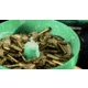 RCBS Vibratory Case Polisher QD 120V, Green, 87062
