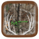 Realtree Paper Plates,Square 9in,8Pk, Antler,Realtree RPA1154