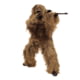 Red Rock Outdoor Gear 5-Piece Ghillie Suit, Desert, Extra Large/2XL, 70916XL/XXL