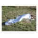 Red Rock Outdoor Gear Emergency Blanket