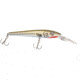 Reef Runner Jr Reef Stalker, Gray Ghost, 900JR-98