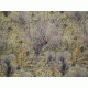 Remington Rem Skin Peel-and-Stick Camouflage For Your Face Mossy Oak Brush