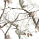 Remington Rem Wrap Adhesive Camouflage For Your Firearm Realtree APS