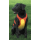 Remington Sporting Dog Canine Reflective Vest, Orange-Yellow, Chest Protector, Medium R1900-ORGMED