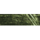 Remington Sporting Dog Deluxe Nylon Leash, Camo Grassy Field, 1 in. Double Training Lead, 6 ft. R2906-GFL06