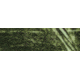 Remington Sporting Dog Deluxe Nylon Leash, Camo Grassy Field , 1in. Traffic Lead, 18 in. R2918-GFL18