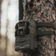 Reveal by Tactacam Pro 3.0 Cellular Trail Camera - Pack of 2