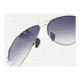 Revision Military Eyewear Alphawing Sunglasses