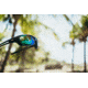Revo Coast Sunglasses - Men's, Matte Black Frame, Evergreen Lens, Medium, RE 1185N 01 GN
