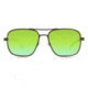 Revo Freeman Progressive Prescription Sunglasses, Brown Frame, Polarized, RE 1012 02 GNPR