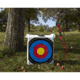 Rinehart NASP Homework Target, 1006938