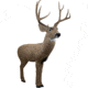 Rinehart Signature Mulie Target, Brown, 18011
