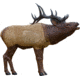 Rinehart Targets Fx Woodland Foam 1/3 Scale Woodland Elk
