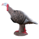 Rinehart Tom Turkey Target, Brown 41511