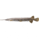 Rinehart Yellow Fin Gar Target, Brown 1001341