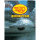 Rio Bonefish Knotless 10ft 3 Pk - 10lb
