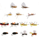 RIO Products Terrestrial Assortment, 6-F32367