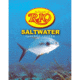 Rio Saltwater Knotless 10ft - 8.8lb