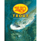 Rio Trout Knotless 9ft - 4X