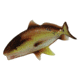Rivers Edge Glass Tray 24-inch, Guy Harve Redfish, 2099