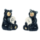 Rivers Edge Salt and Pepper Shakers, Bear Holding, 538