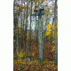 Rivers Edge Treestands 2-Man Bowman Ladder Stand, Black RE636