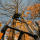 Rivers Edge Treestands Deluxe Ladder Stand, Black RE647