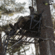 Rivers Edge Treestands Relax Wide Ladder Stand Hang-on Stand, Black RE631