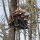 Rivers Edge Treestands Relax Wide Ladder Stand Hang-on Stand, Black RE631