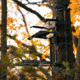 Rivers Edge Treestands Syct 2-Man Ladder Stand, Black RE642