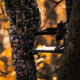 Rivers Edge Treestands Syct 2-Man Ladder Stand, Black RE642