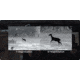 RIX Stride ST6 Lite Thermal Imaging Monocular