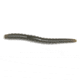 Roboworm Ned Worm, 5in, 6 pack, Green Pumpkin Black Flake, N5-FFFB